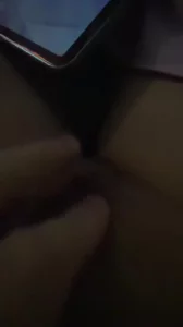 预告小狗一只